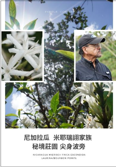 [珍稀豆種] 米耶瑞詡家族 秘境莊園 尖身波旁 天然半低因 蜜處理
