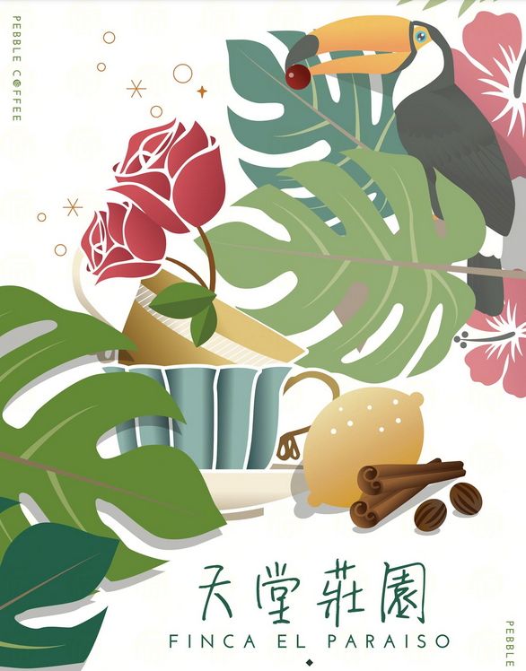 哥倫比亞 考卡省 天堂莊園 蜜桃荔荔 雙重厭氧