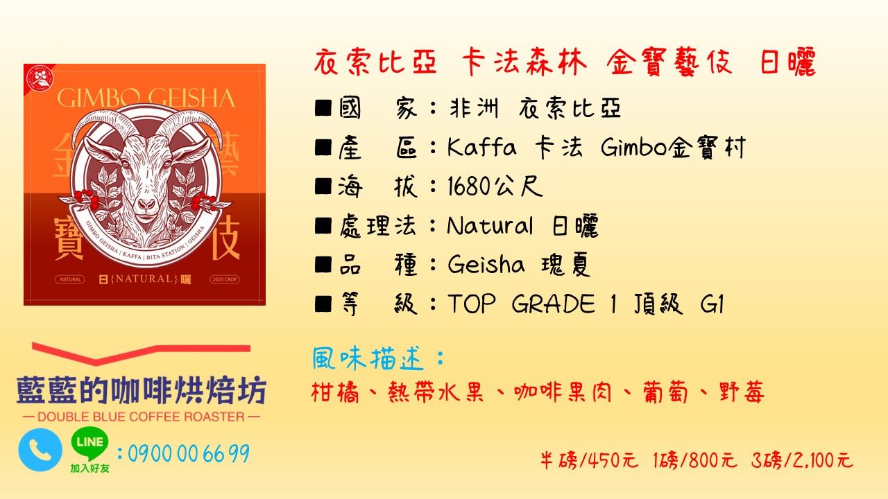 2025 衣索比亞 卡法森林  金寶村 金寶藝伎 日曬G1
