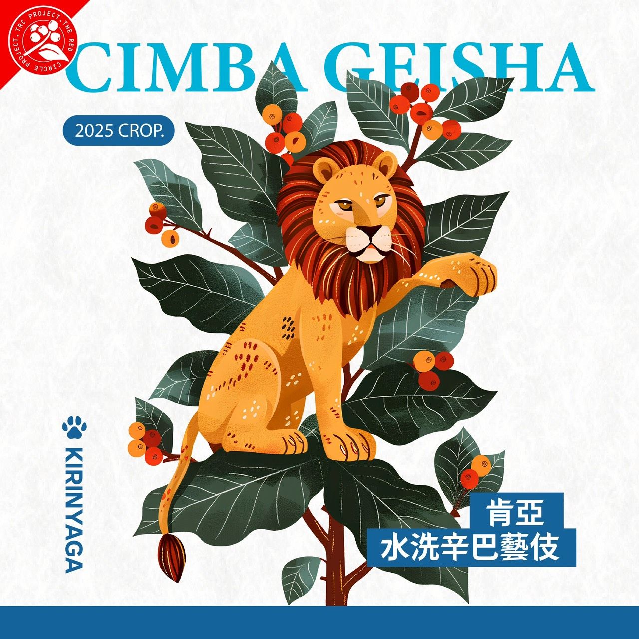 肯亞  多門 辛巴藝伎 水洗