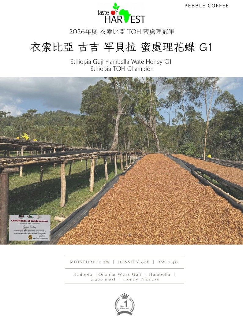衣索比亞 古吉 罕貝拉 花蝶 蜜處理 G1 2026 TOH 冠軍 半磅 淺焙