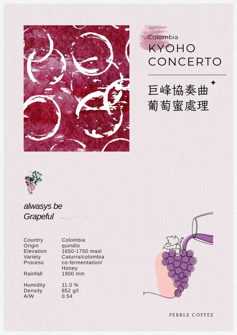 哥倫比亞 金迪歐 巨峰協奏曲 葡萄水果酵母 蜜處理 淺焙 半磅
