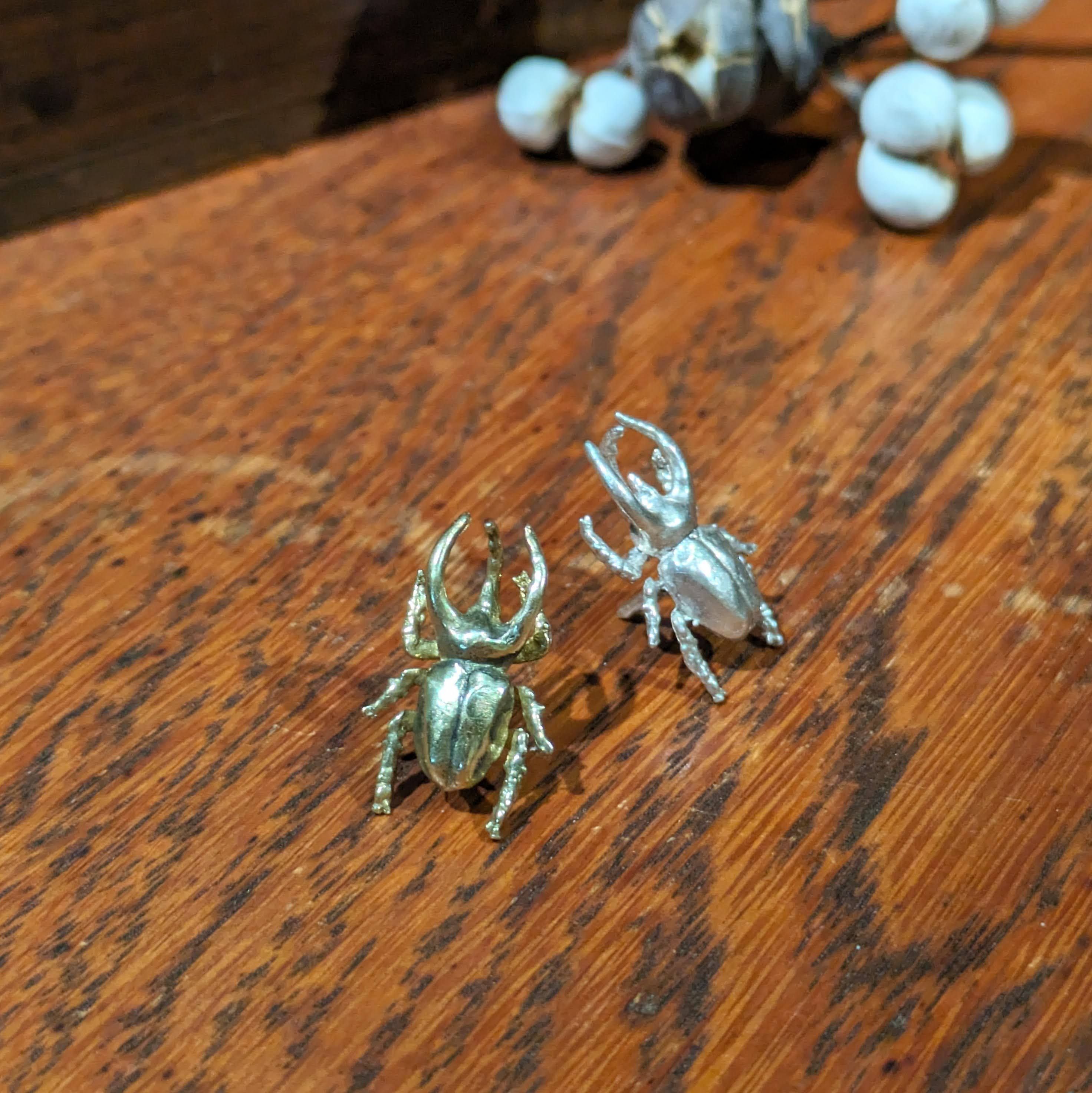 高加索南洋大兜蟲