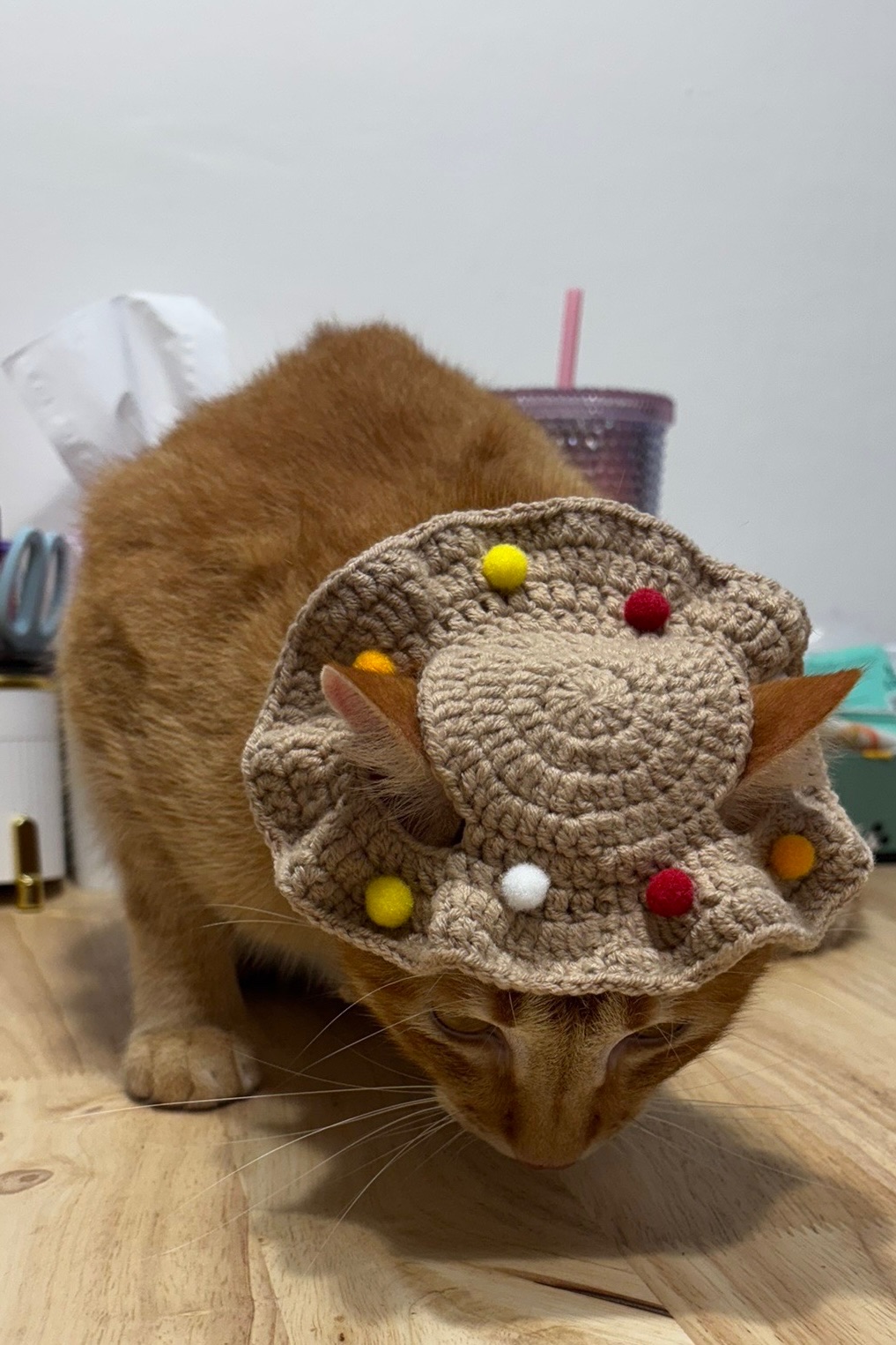 【現貨-針織手作】波浪毛球貓貓帽/客製顏色