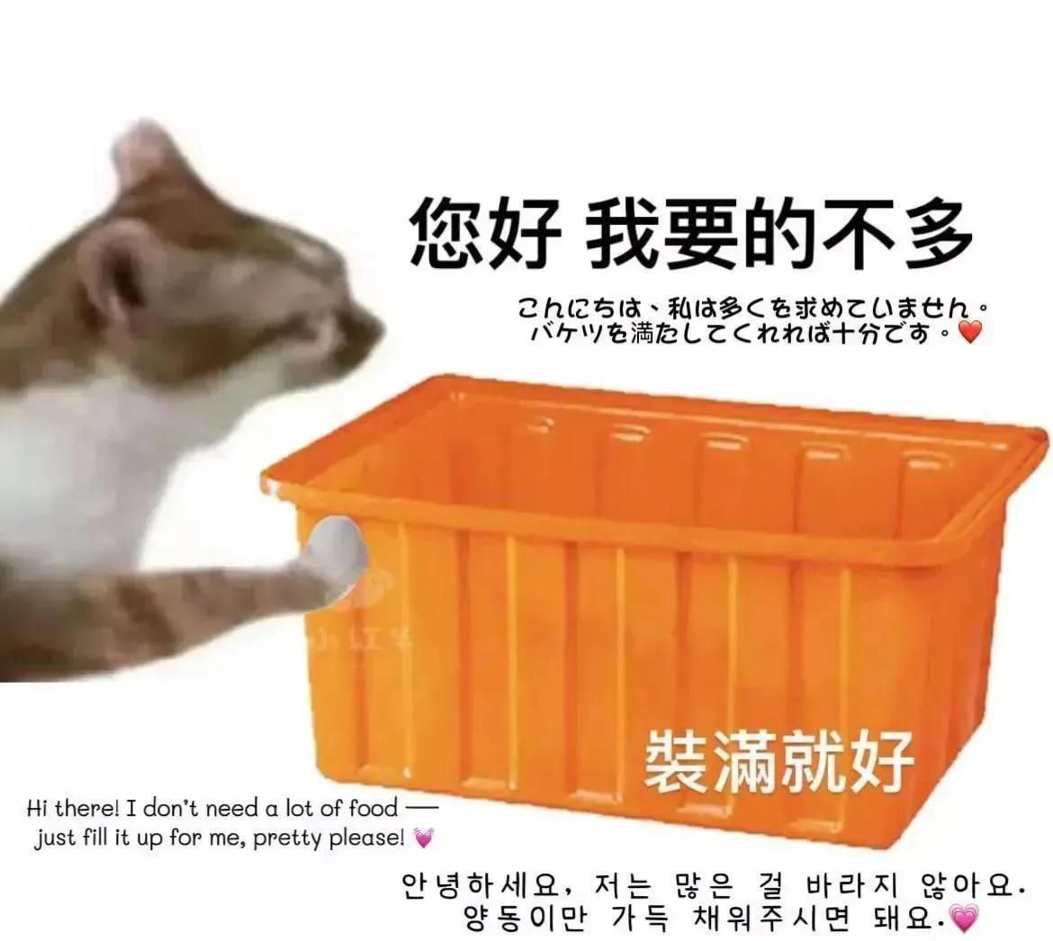 寶可夢及其他動漫周邊、扭蛋、盲盒（待更新）