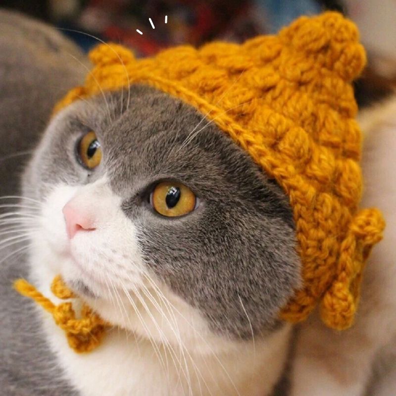 寵物佛祖帽 毛線帽 寵物頭飾 小型犬貓適用