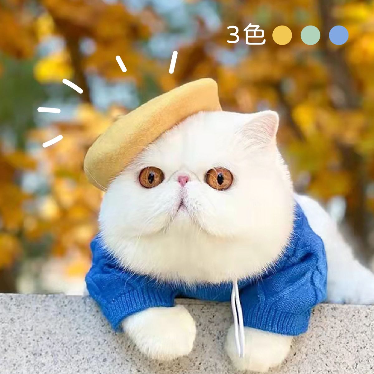 寵物羊毛貝雷帽 可調式鬆緊帶 寵物頭飾 犬貓適用