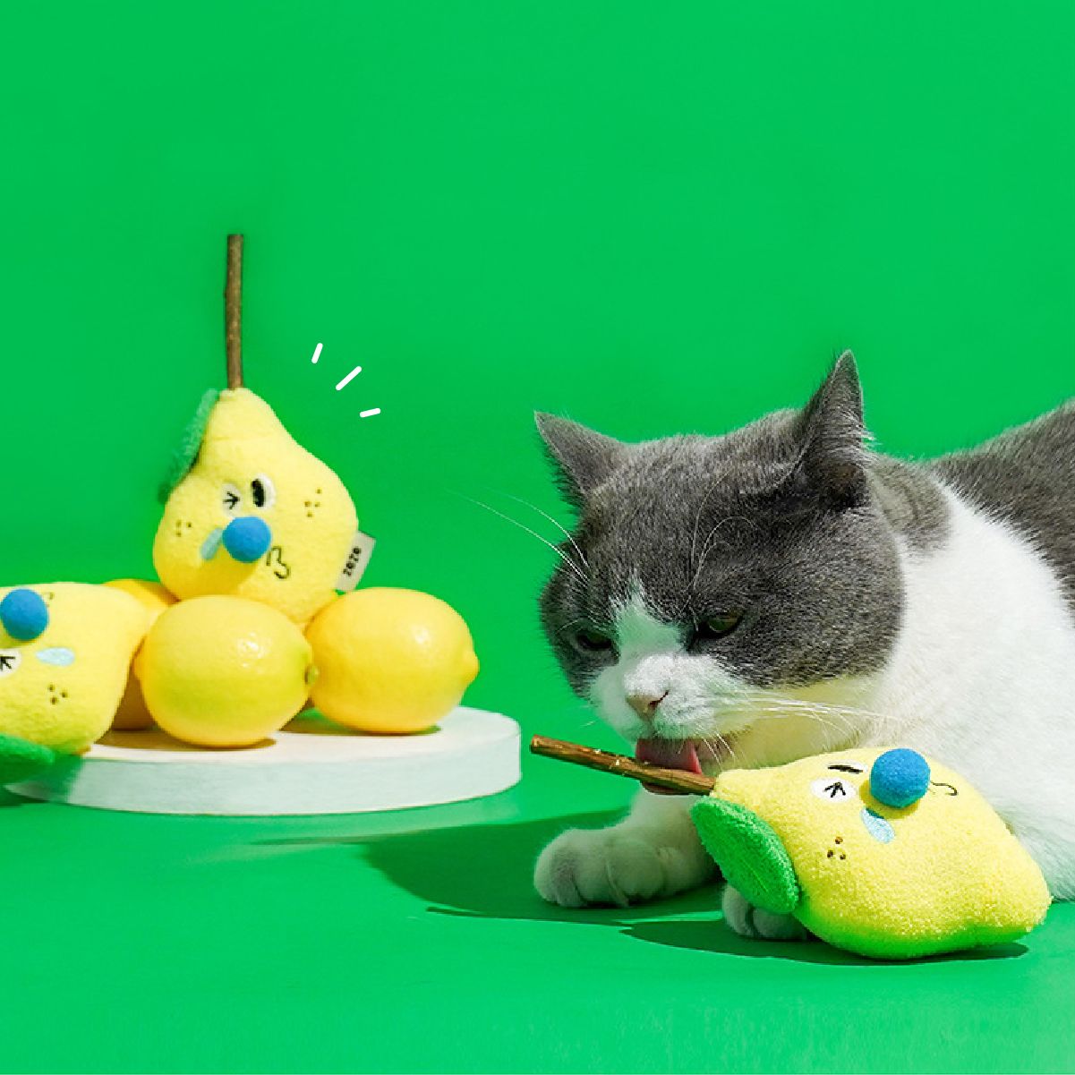 Zeze 檸檬造型木天蓼貓草玩具 舒緩放鬆心情 寵物玩具