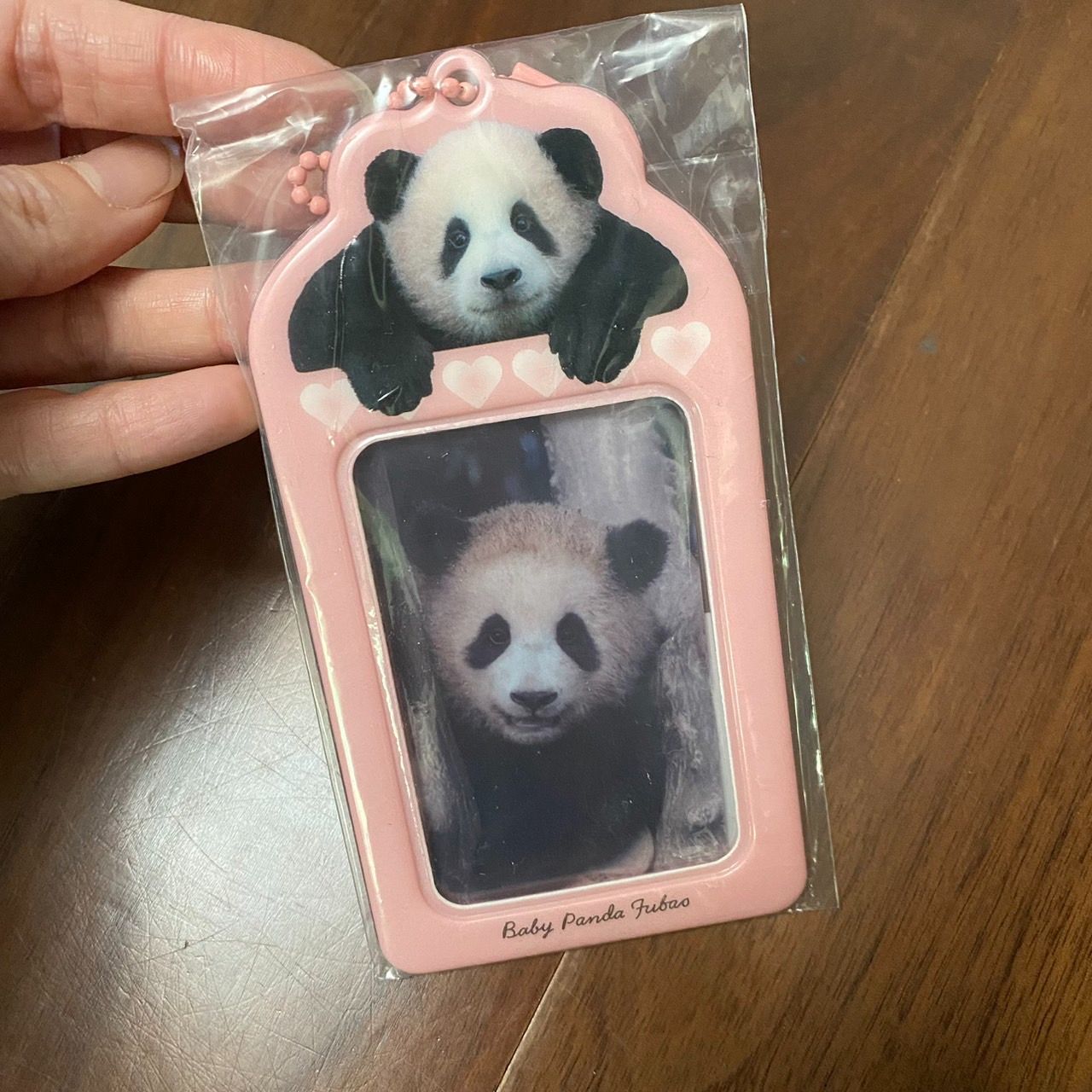 卡套小卡組
