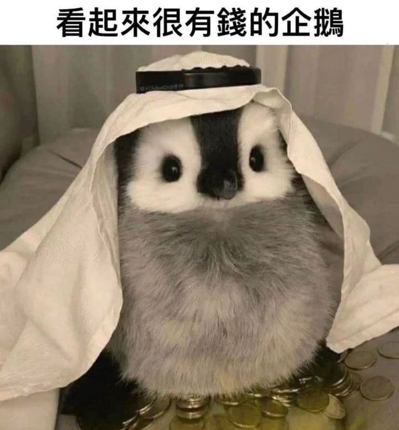 試聽押金
