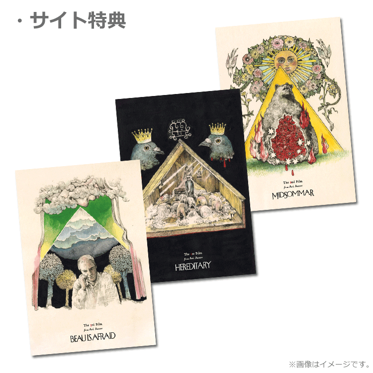 寶可噩夢 日本預售票特典 名信片
