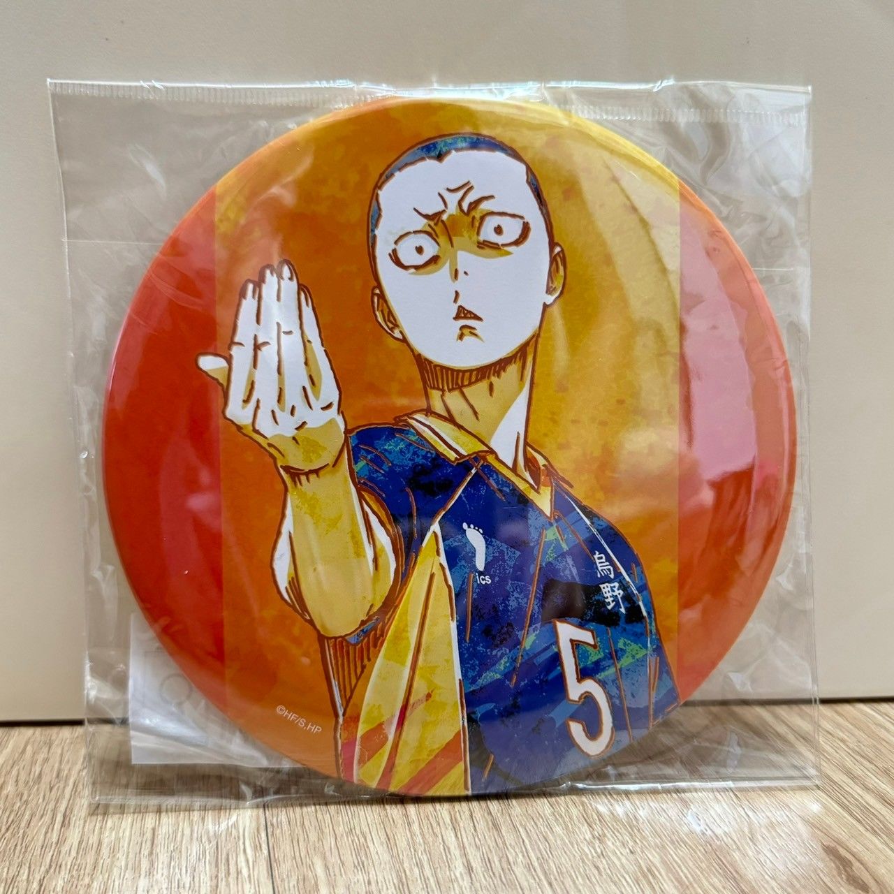 『ハイキュー!!』 田中龍之介 Ani-Art 第2弾 BIG缶バッジ