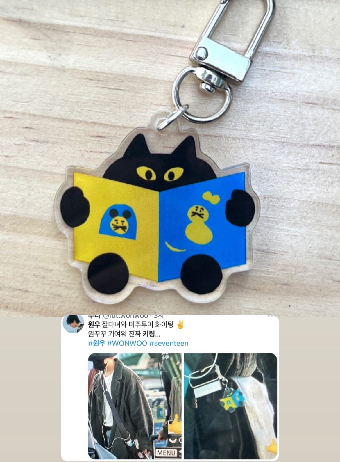 圓佑同款🇰🇷韓國文創 讀書小貓吊飾