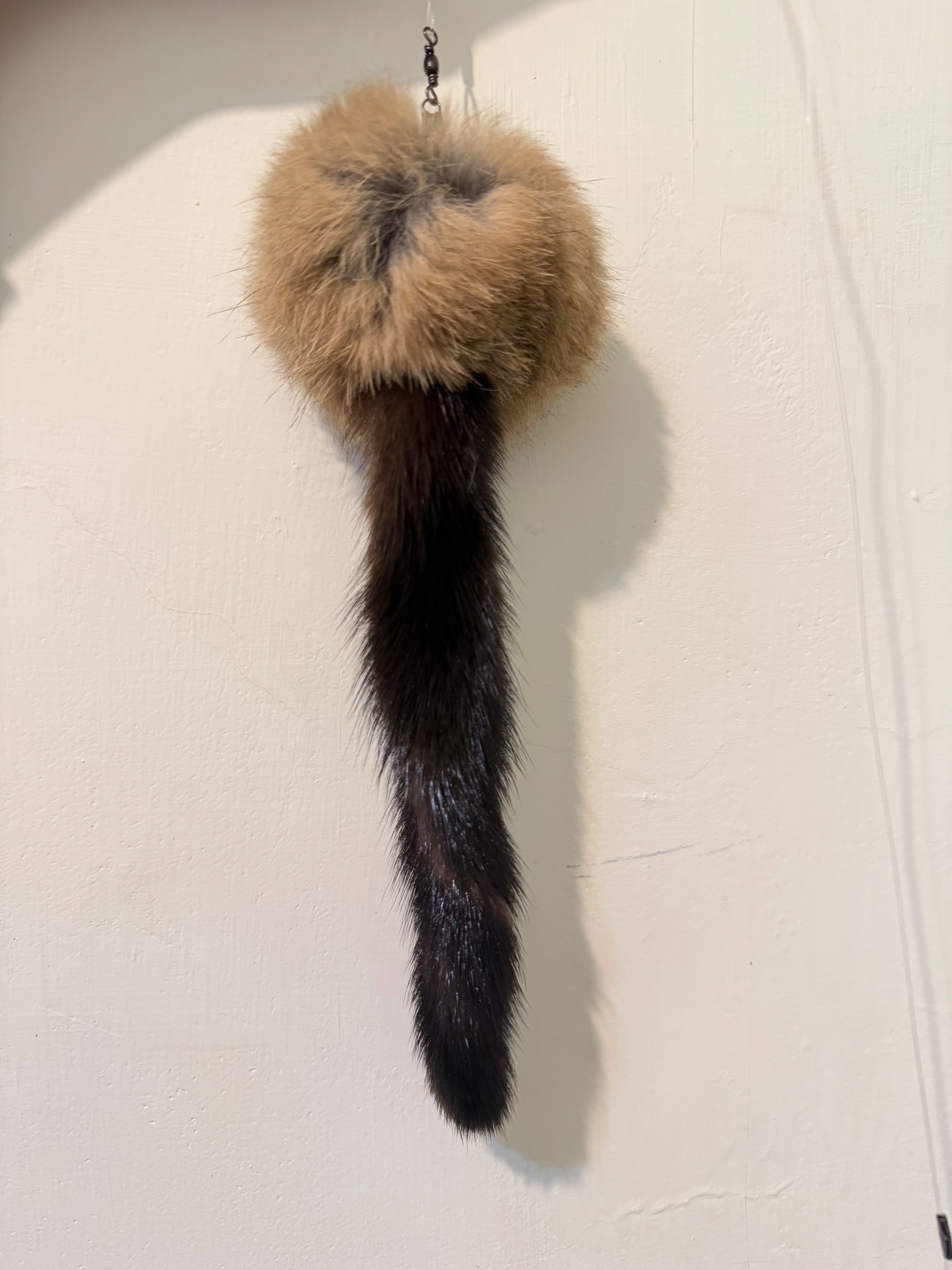 新鮮捕貨到~美國小作坊的動物毛們