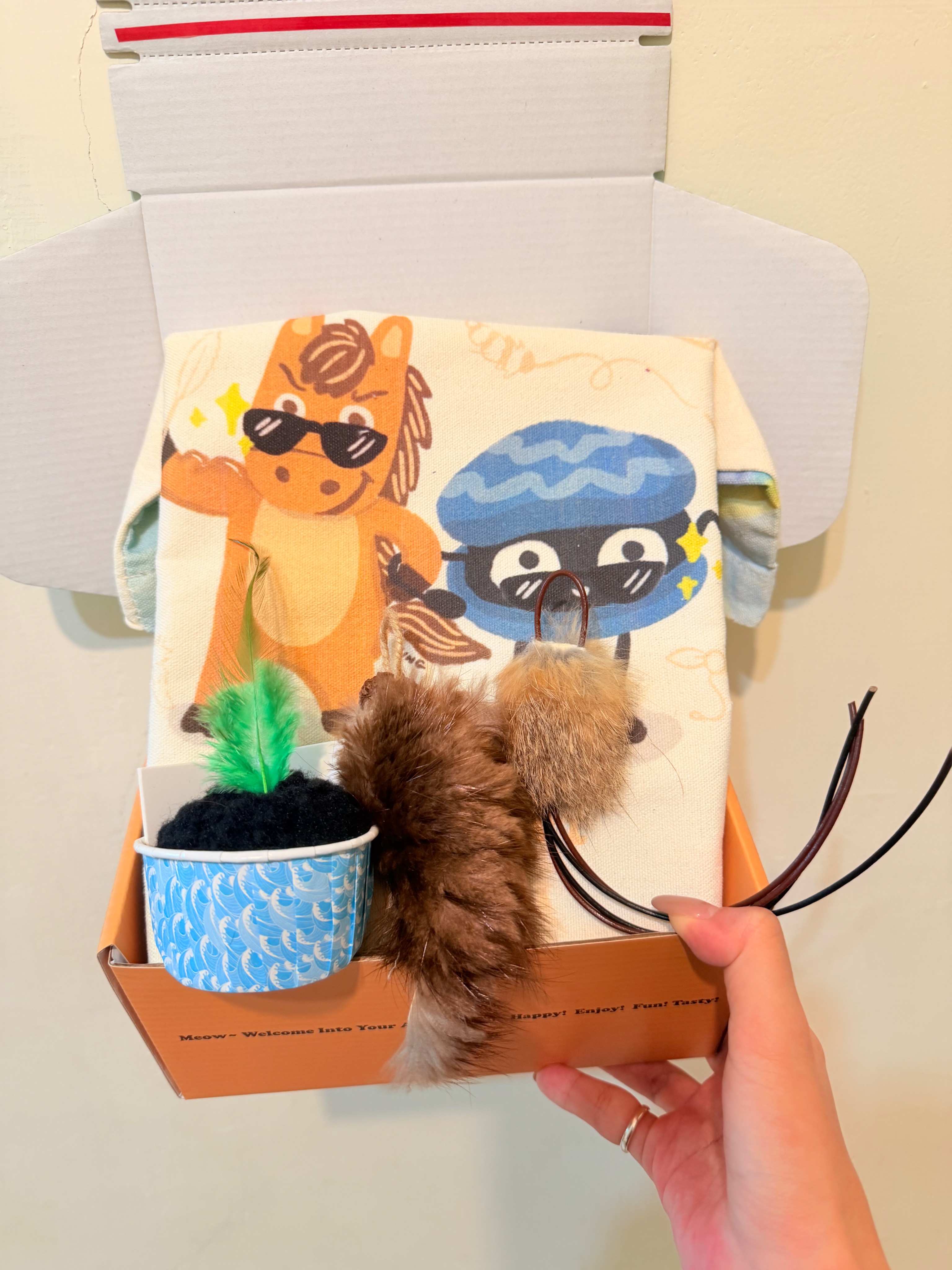 ❤️‍🔥葛P聯名禮盒❤️‍🔥