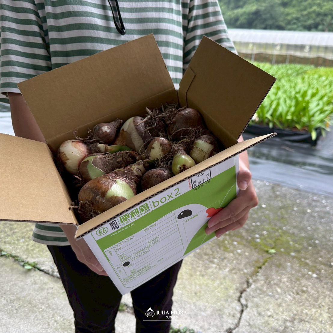 迷你花海實現包－【小尺寸包】