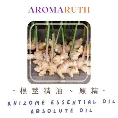 AROMARUTH 根莖精油、原精 Rhizome Essential、Absolute Oil