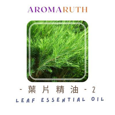 AROMARUTH 草本精油Herb Essential Oil-2
