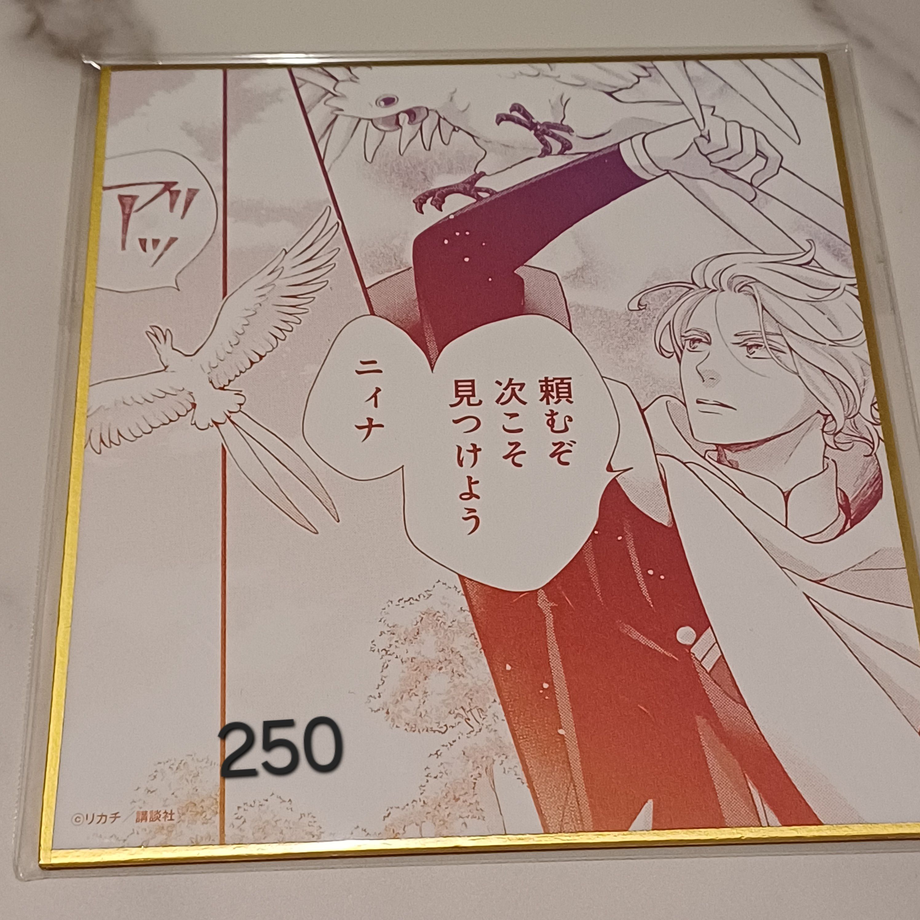 seto 色紙