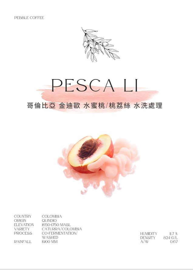 哥倫比亞 金迪歐 水蜜桃/桃荔絲 水洗處理