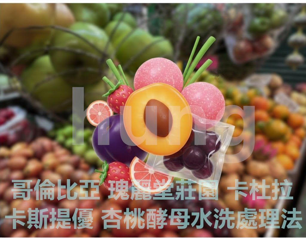 A哥倫比亞 瑰麗堂莊園 卡杜拉卡斯提優 杏桃酵母水洗處理法2025