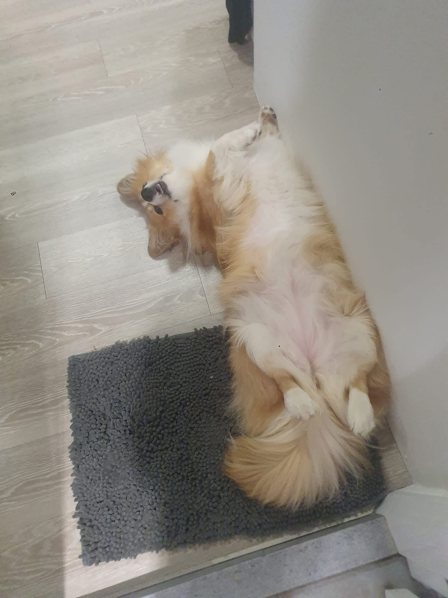 雜物區
