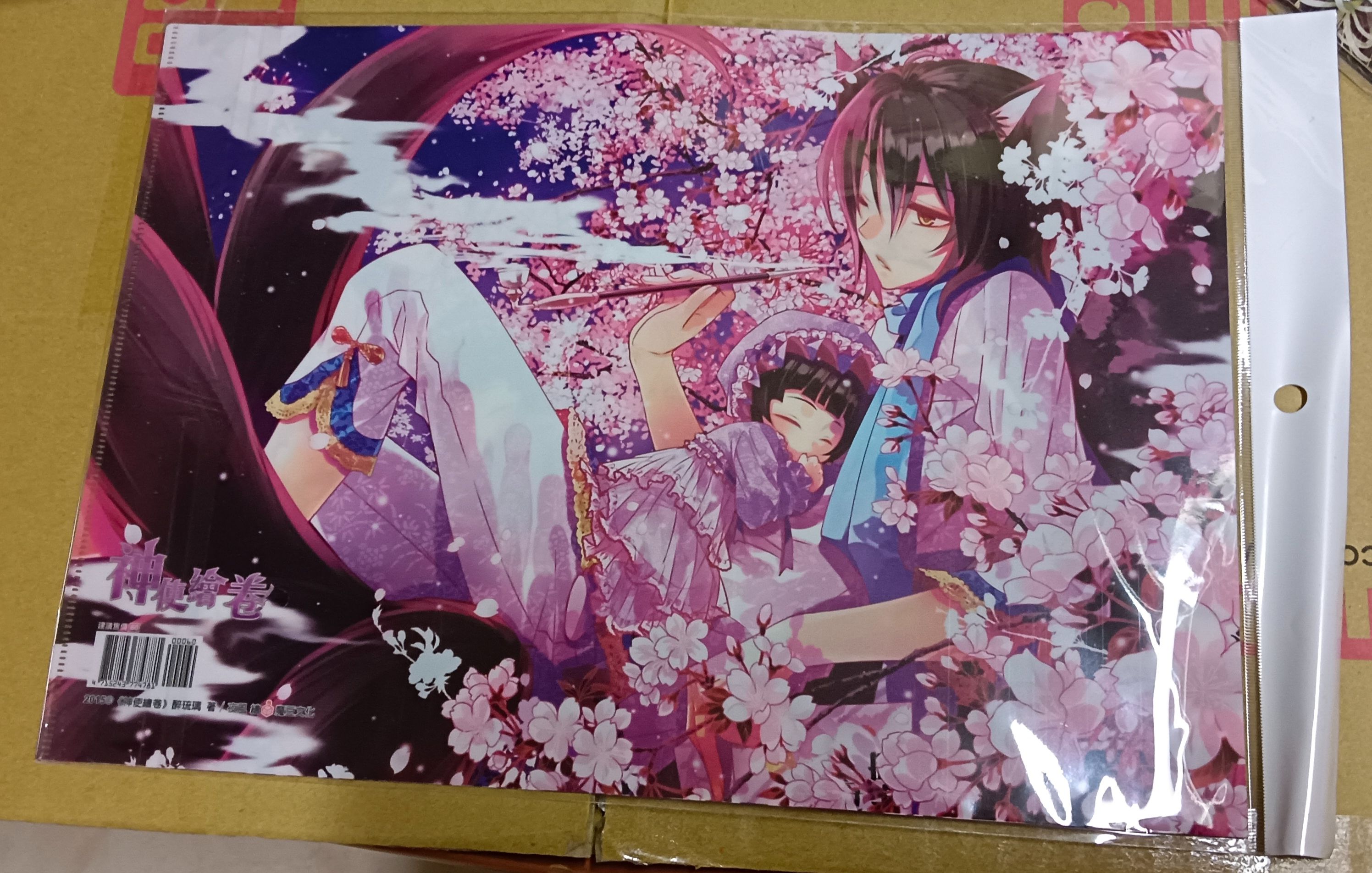 舊款保存不算佳的資料夾