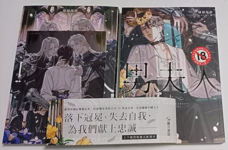 88】 朧月書版/小說《男夫人 上+下》 碰碰俺爺