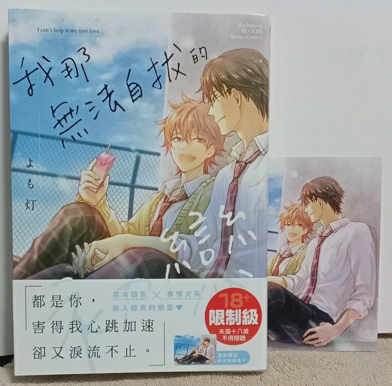 86】角川/漫畫《我那無法自拔的初戀》よも灯