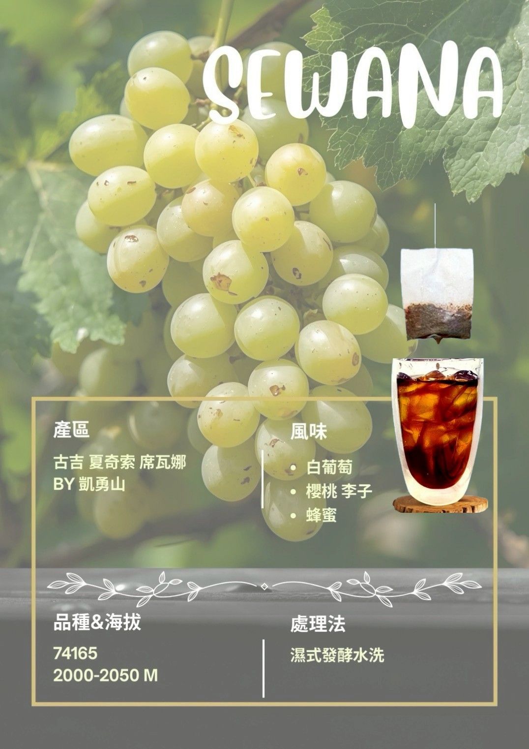 濾掛咖啡-衣索比亞 夏奇索 席瓦娜