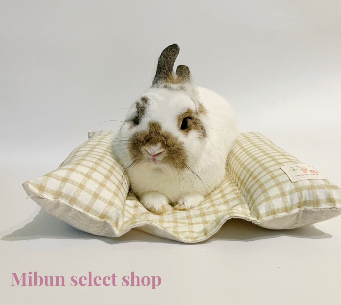 BUNNY HOLIC 【加大版】安全感睡墊-加大版趴趴墊