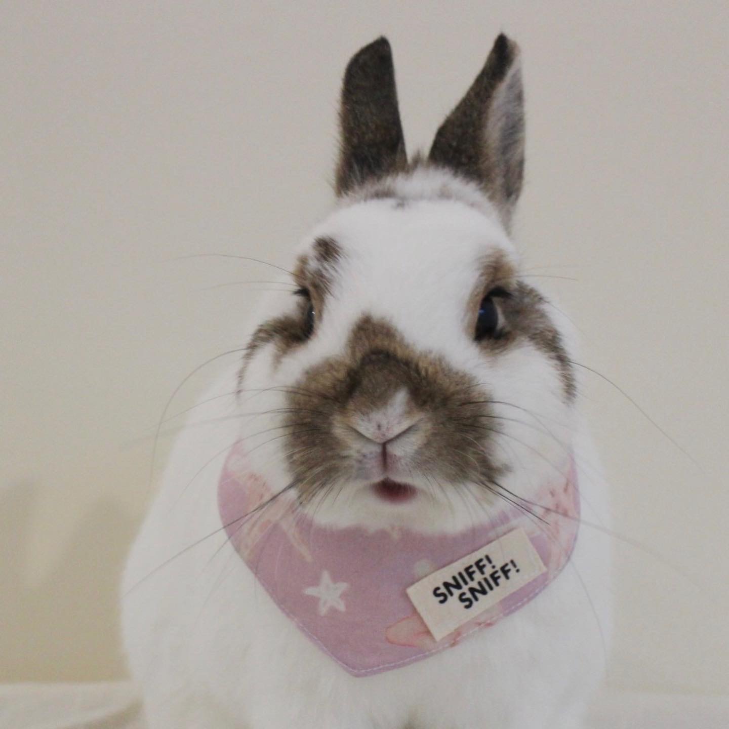 SNIFF!SNIFF!兔兔領巾-三角巾