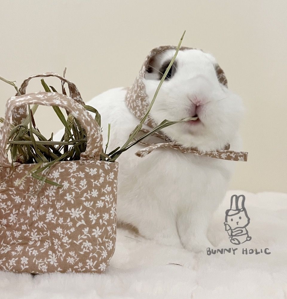 BUNNY HOLIC 阿痞伯買菜系列