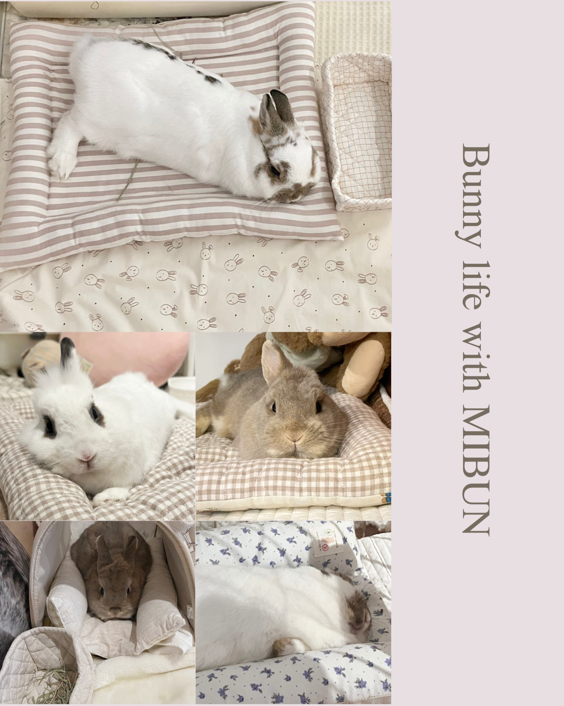 BUNNY HOLIC 長方形睡墊-【四邊墊】
