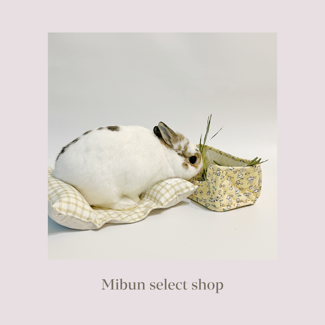 BUNNY HOLIC 兔兔草籃