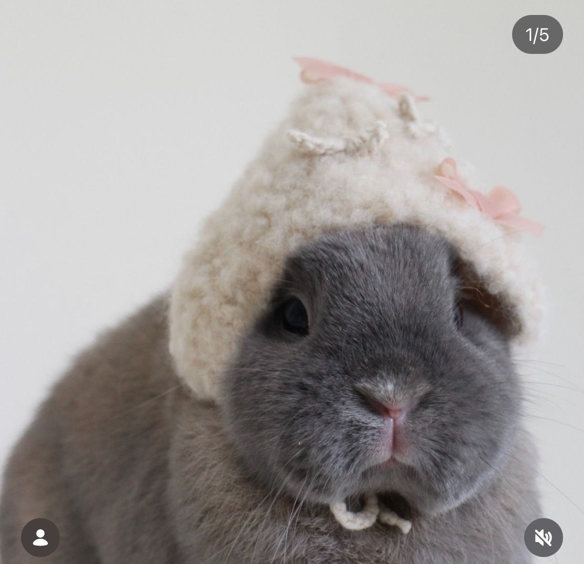 Tufamily聯名款 芭蕾舞伶毛帽