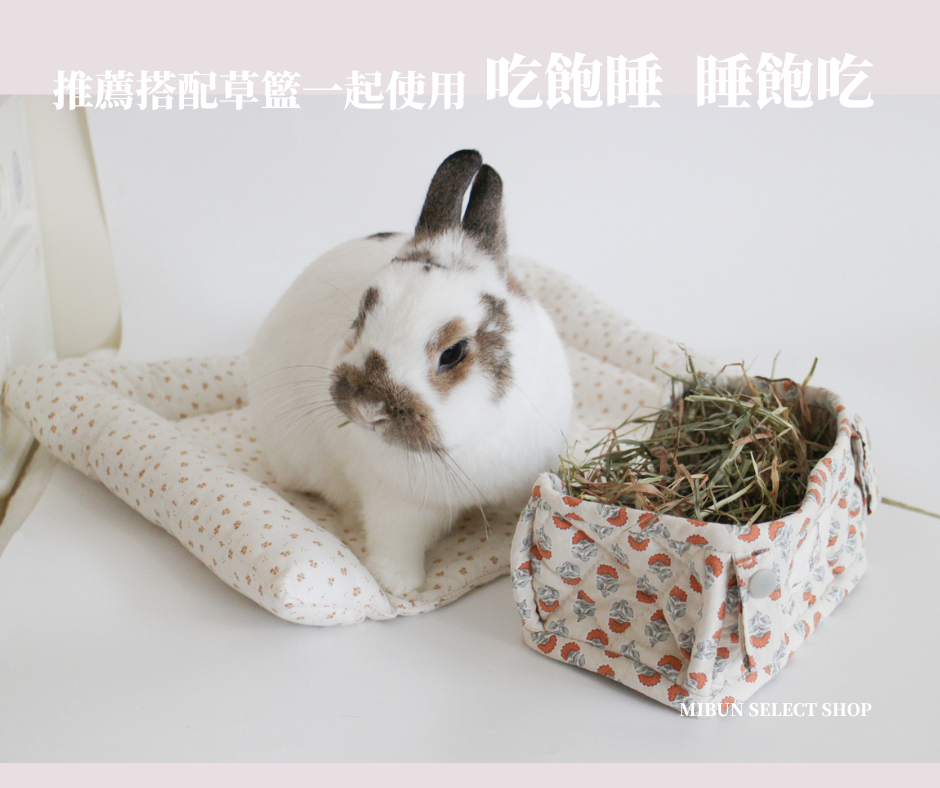 BUNNY HOLIC 長方形睡墊-【三邊墊】