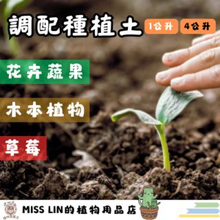 現貨~花果蔬卉 木本植物 草莓 種植土 1公升 4公升 培養土 泥炭土 珍珠石 蔬果花卉 花卉 蔬菜 草莓 木本