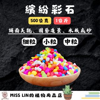 現貨~彩石 （500公克/1公斤） 好運石 五彩石 彩色石頭 魚缸底砂 盆栽鋪面 裝飾 水族鋪缸 園藝造景