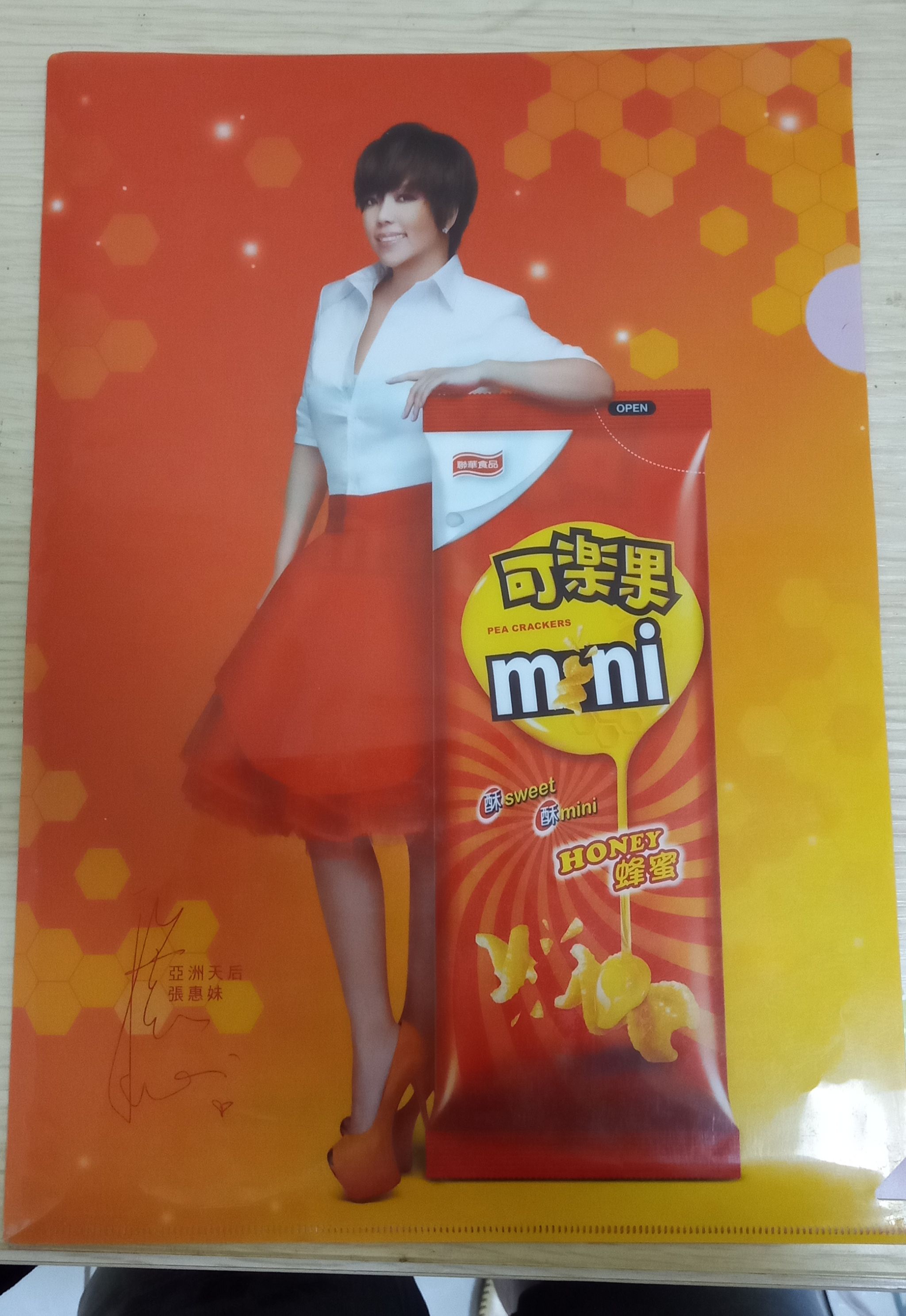 AMEI 張惠妹 阿妹 可樂果 資料夾 文件夾 收藏