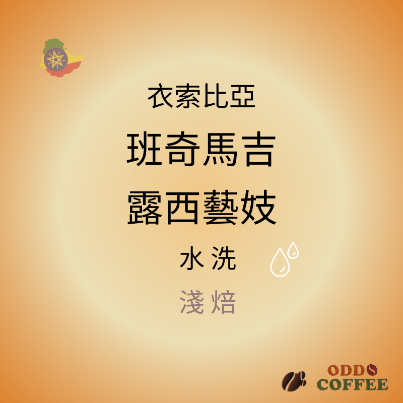 衣索比亞．班奇馬吉． 露西藝妓/水洗