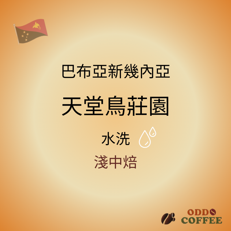 巴布亞新幾內亞．天堂鳥莊園/水洗