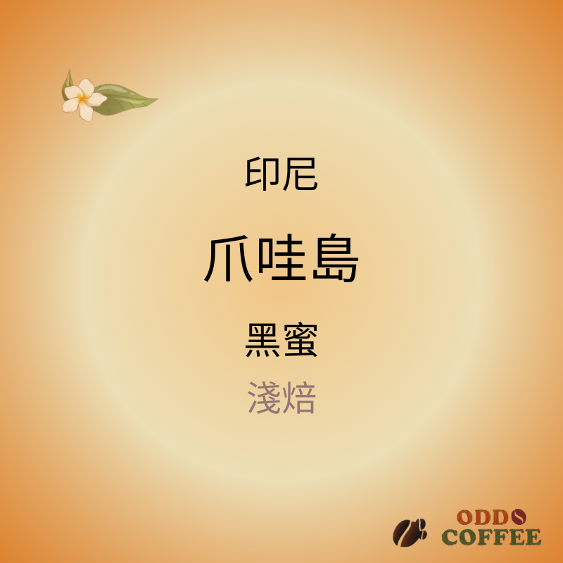 印尼 ．爪哇島 ．阿拉比卡/黑蜜