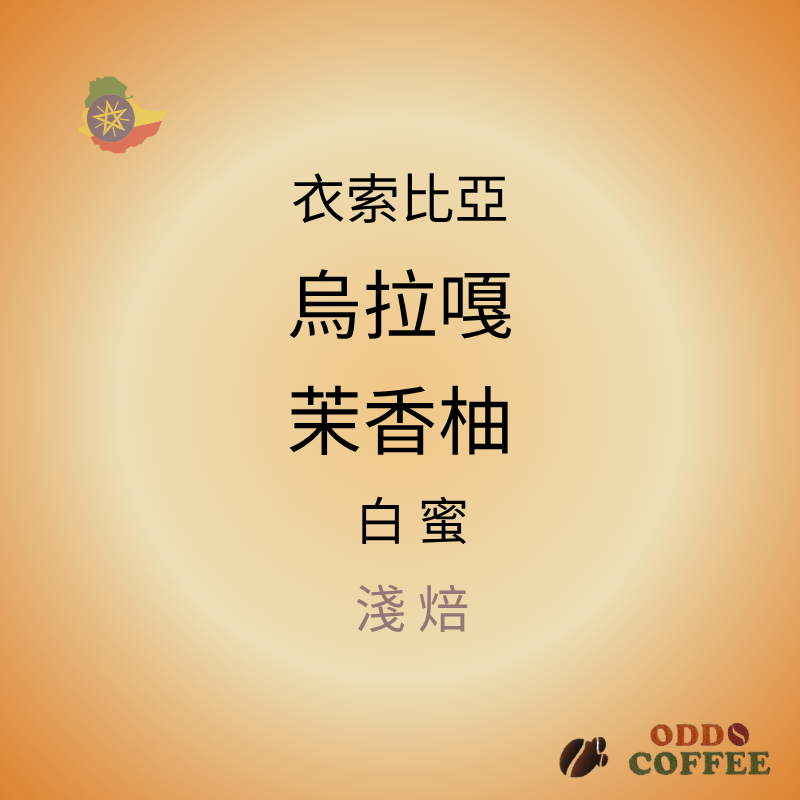 衣索比亞．烏拉嘎． 茉香柚/白蜜