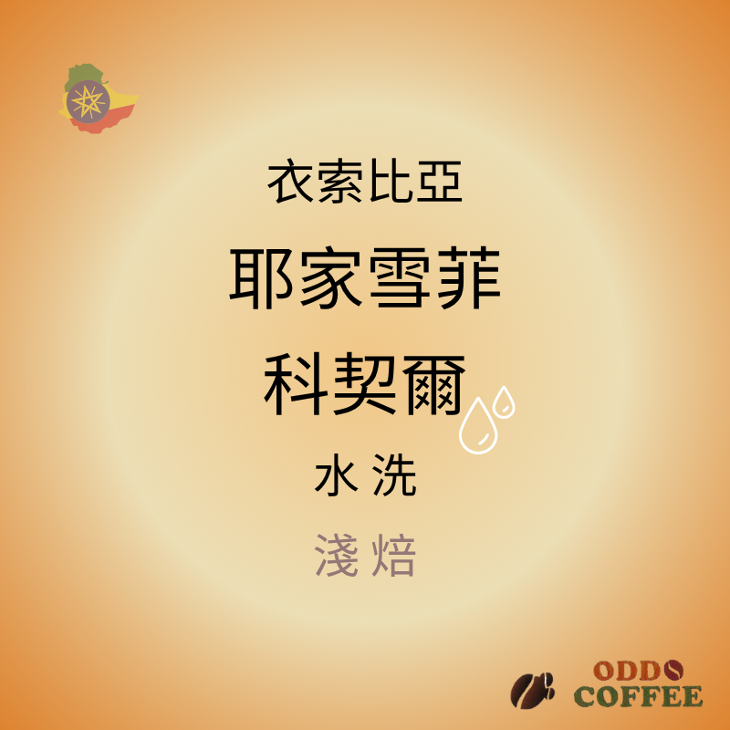 衣索比亞．耶家雪菲．科契爾/水洗