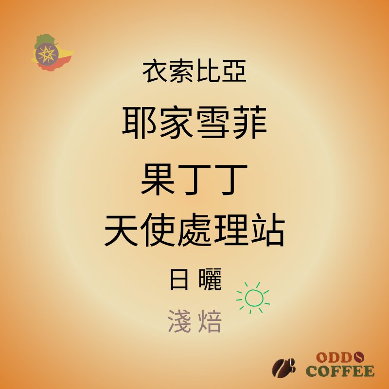 衣索比亞．耶家雪菲．果丁丁．藝妓/日曬