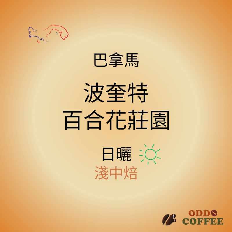 巴拿馬．波奎特．百合花莊園/日曬