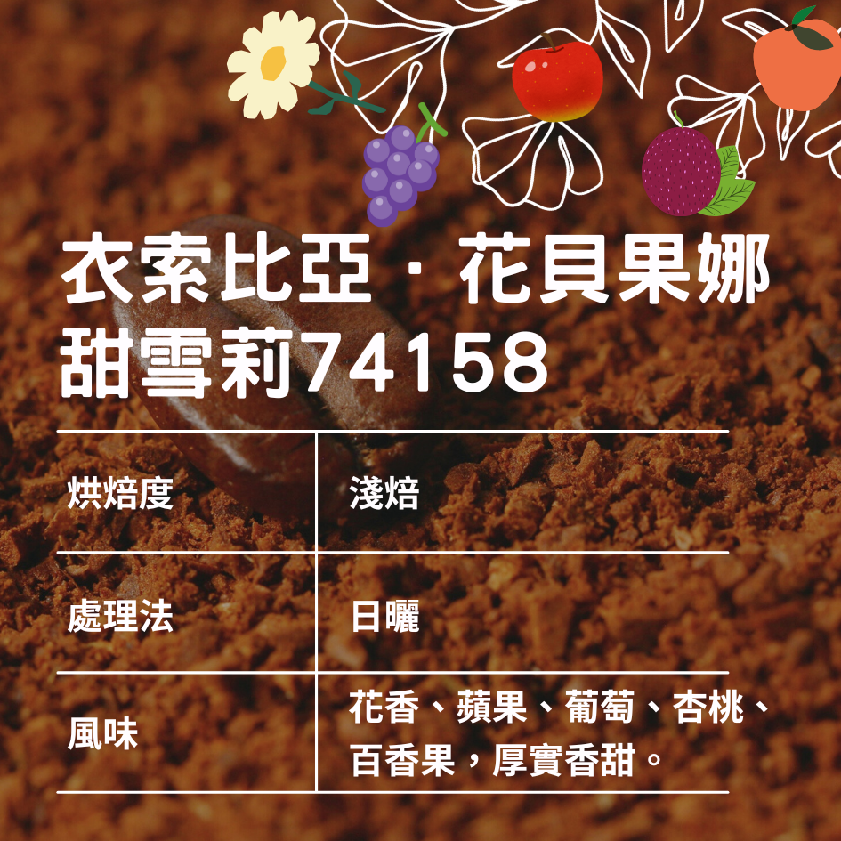 衣索比亞．花貝果娜．甜雪莉74158/日曬