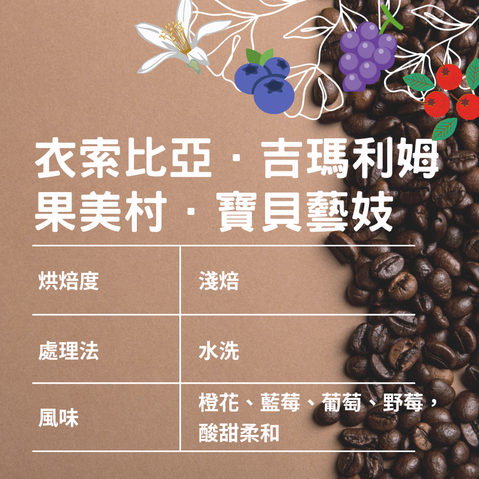 衣索比亞．吉瑪利姆．果美村．寶貝藝妓/水洗