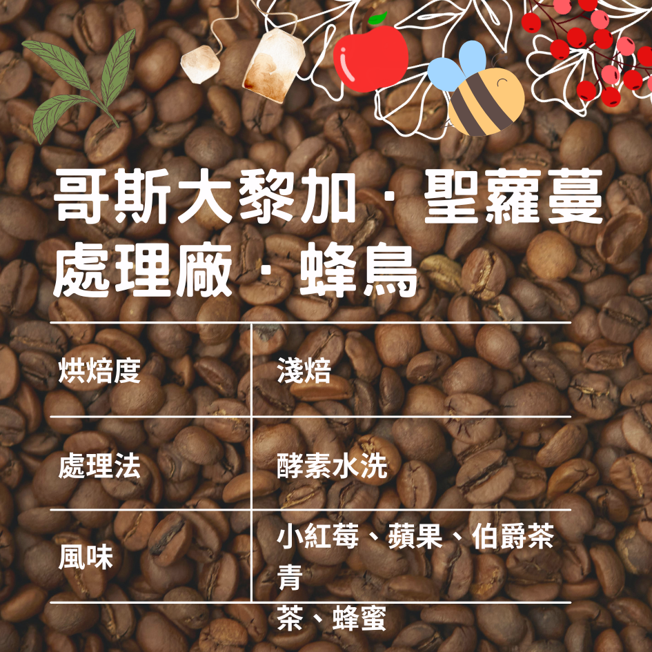 哥斯大黎加．聖蘿蔓處理廠．蜂鳥/酵素水洗